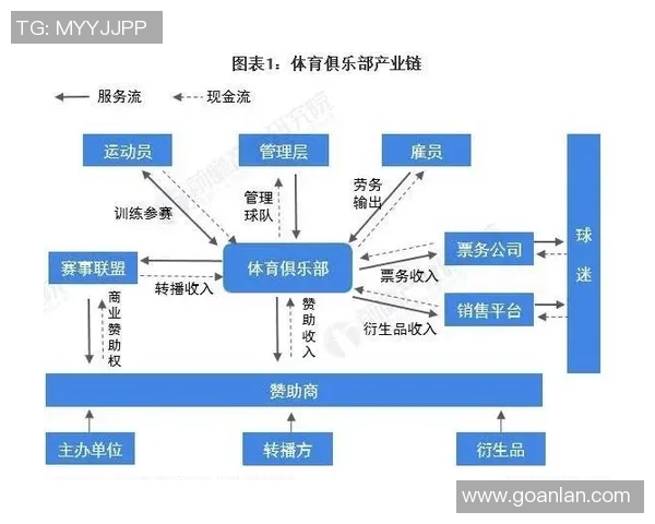 全球足球明星粉丝数排行榜解析各国球迷热爱程度揭秘
